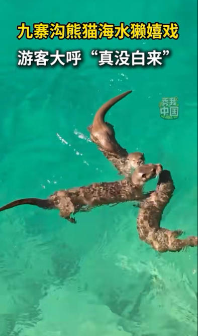 联合辟谣平台app__中国联合互联网辟谣平台