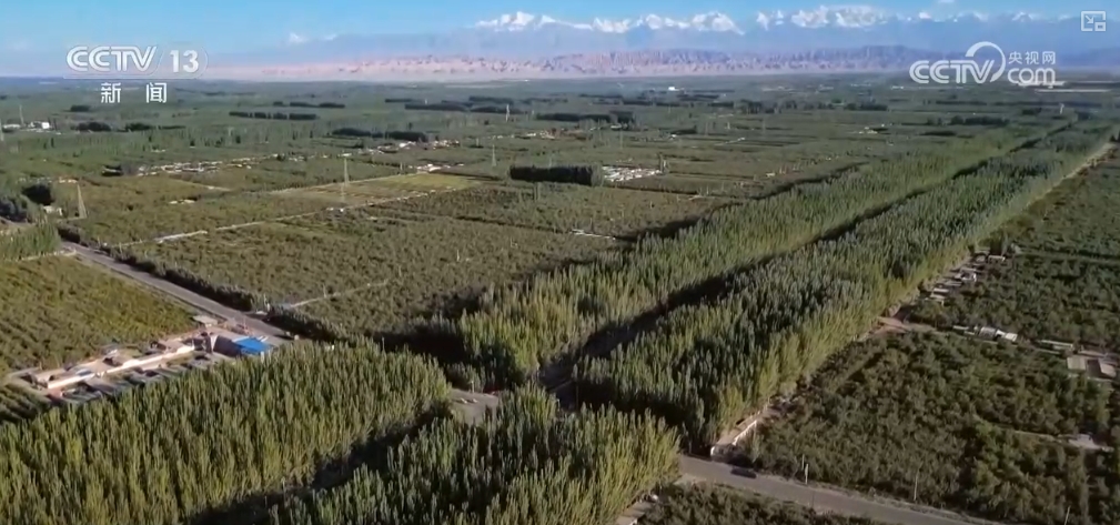 都市圈产业生态聚集模式__金融产业聚集式发展