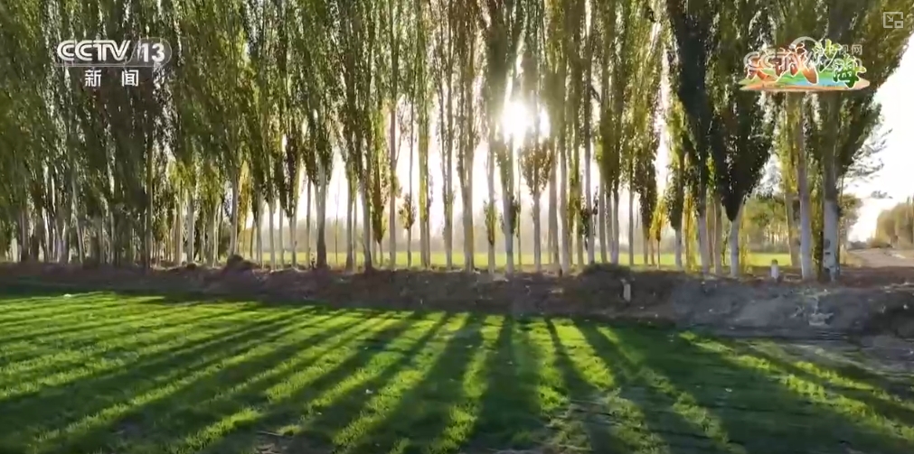 都市圈产业生态聚集模式_金融产业聚集式发展_