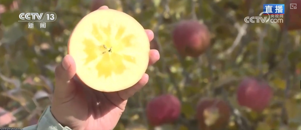 _都市圈产业生态聚集模式_金融产业聚集式发展