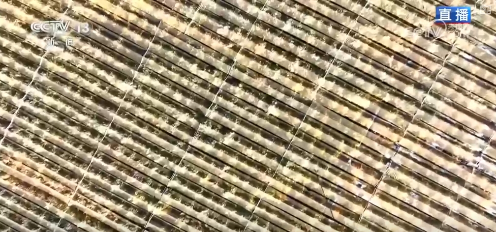 _都市圈产业生态聚集模式_金融产业聚集式发展