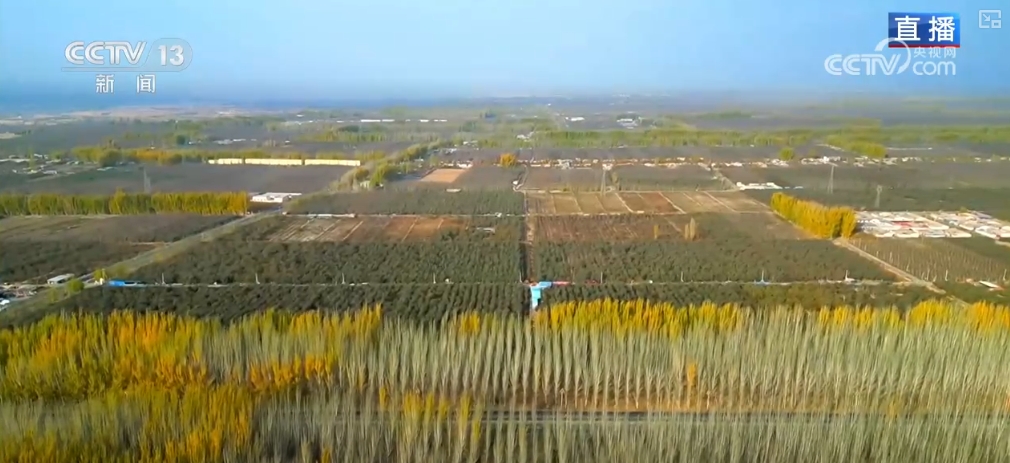 都市圈产业生态聚集模式_金融产业聚集式发展_