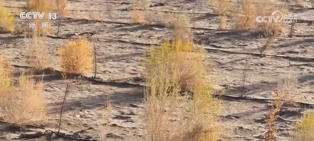 _都市圈产业生态聚集模式_金融产业聚集式发展