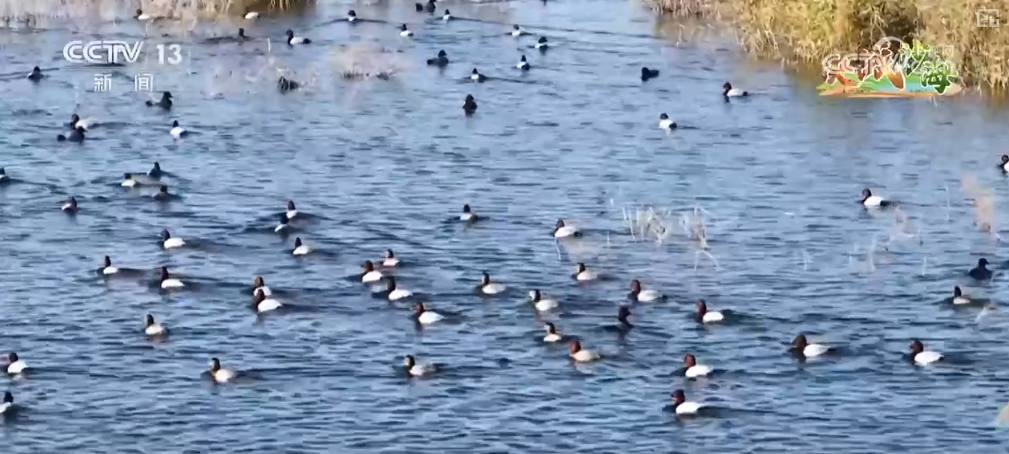 都市圈产业生态聚集模式_金融产业聚集式发展_