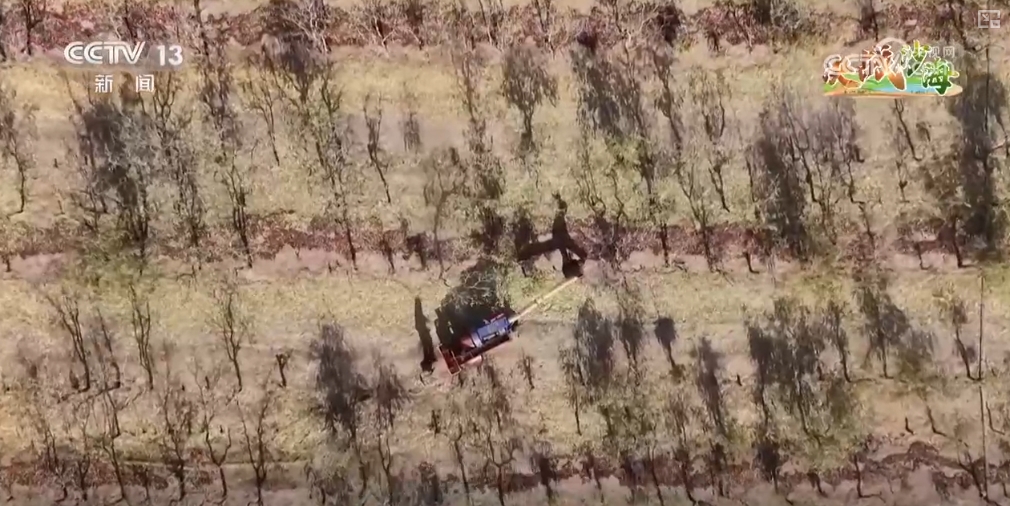 _都市圈产业生态聚集模式_金融产业聚集式发展