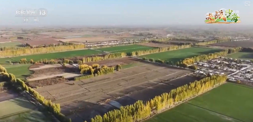 都市圈产业生态聚集模式__金融产业聚集式发展