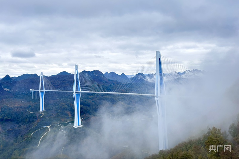 高质量发展看中国｜乘东风跨山海  贵州内陆开放新高地“高”在哪？