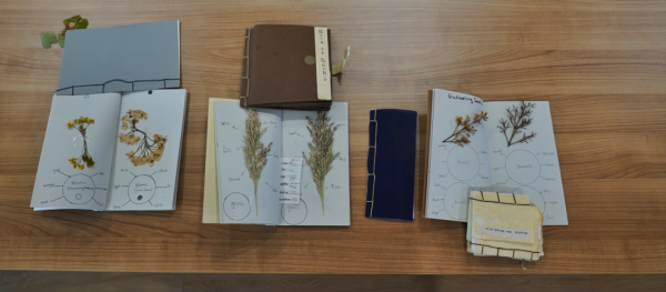 美国诗人从小与中国古诗结缘：我用英语写绝句 | 老外讲故事·中华文化圈粉记③_美国诗人从小与中国古诗结缘：我用英语写绝句 | 老外讲故事·中华文化圈粉记③_