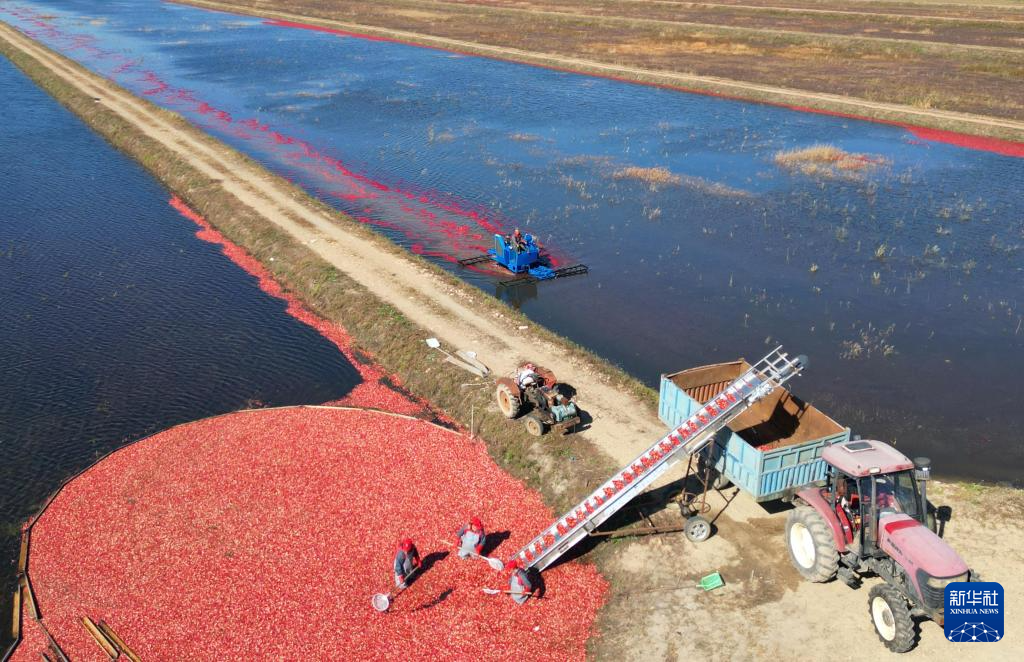 _丰收的保障_法考保过班