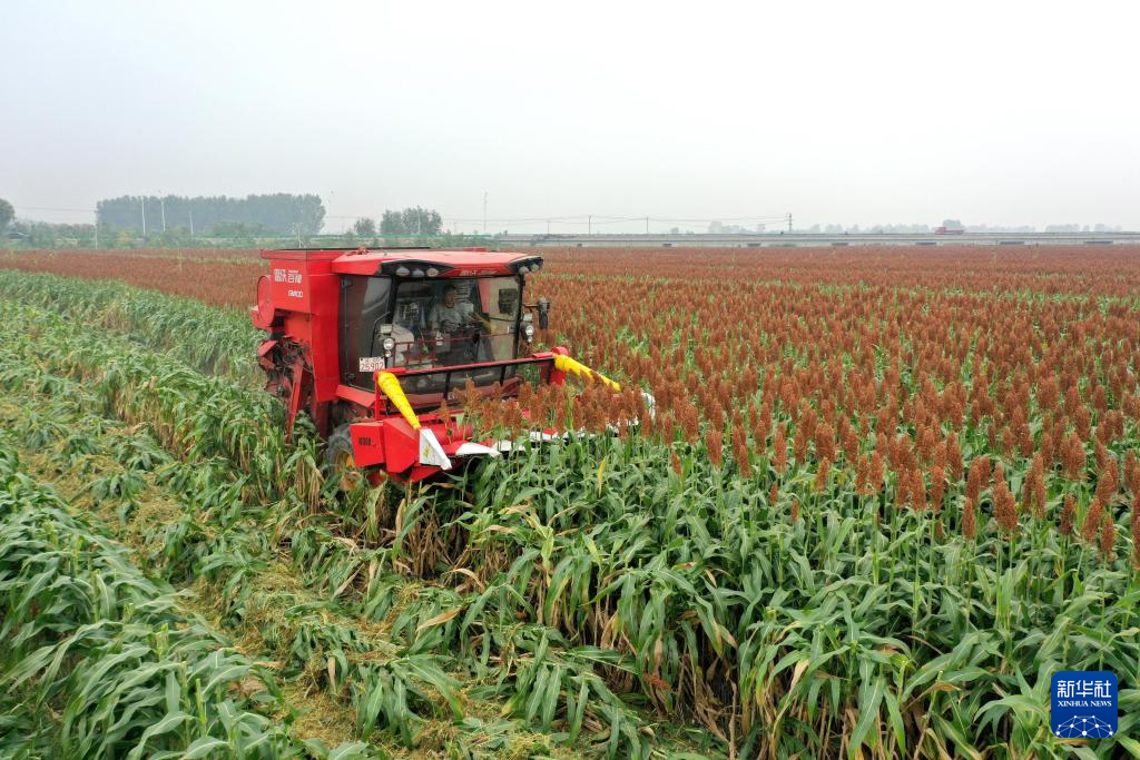 法考保过班__丰收的保障