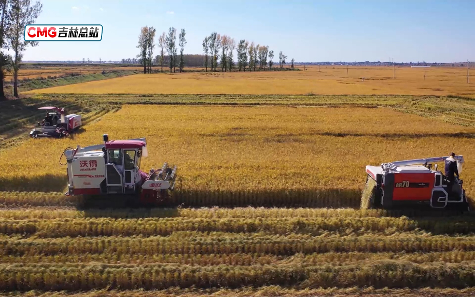 法考保过班_丰收的保障_