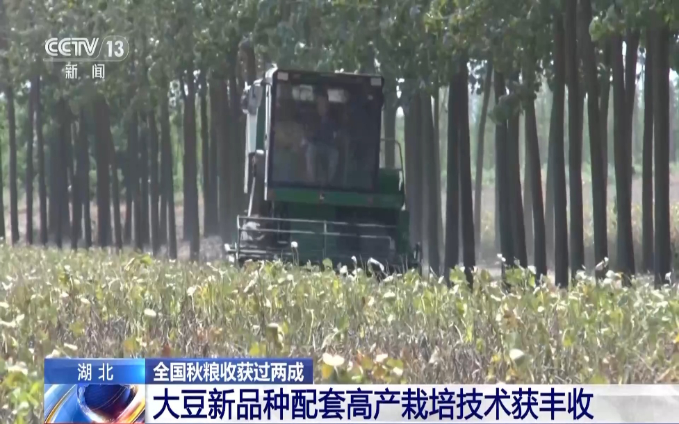 _法考保过班_丰收的保障