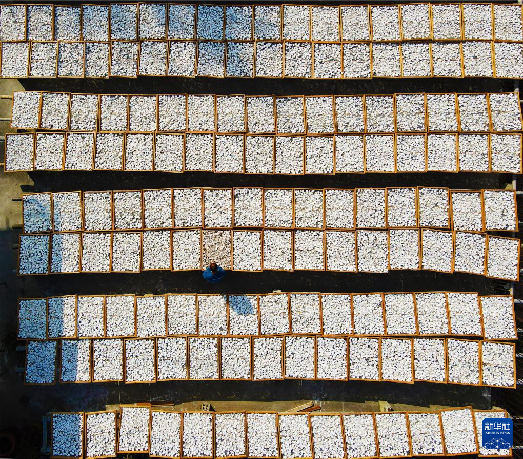 法考保过班_丰收的保障_