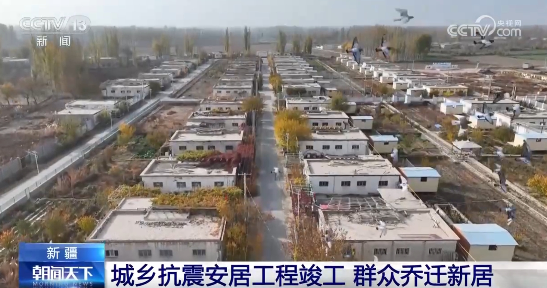 青海受灾情况_青海生活百姓1时间_