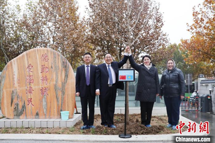 双向用药__双向治疗作用