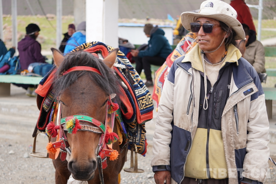 阿里村菇是正规的吗__阿里村菇案件