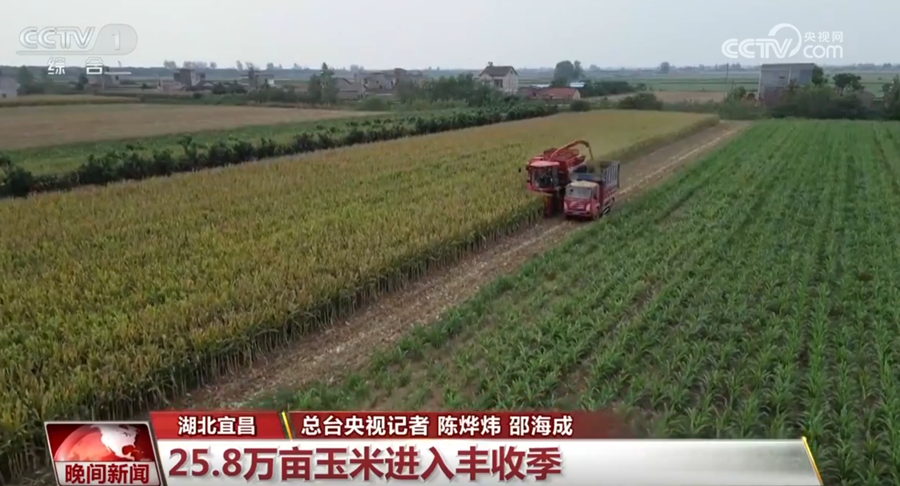 金秋九月，希望的田野上布满了“丰饶”的景色，乡村发展充满活力