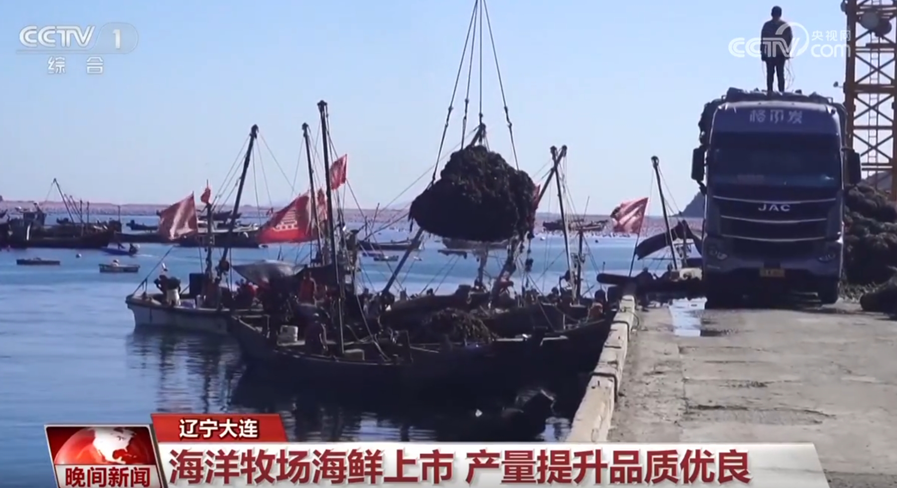 _金秋田野图片_金秋田野作文