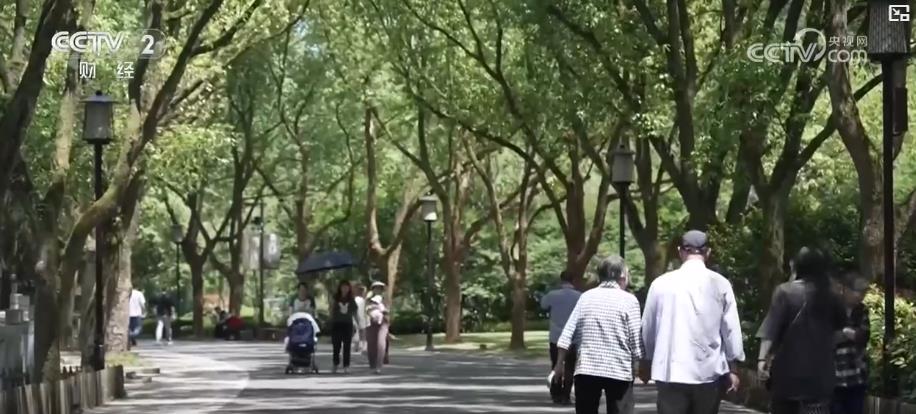 _银发旅游团队_银发旅游案例