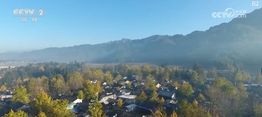 银发旅游团队__银发旅游案例