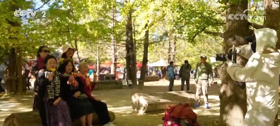 银发旅游团队_银发旅游案例_