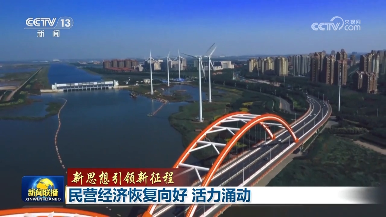 引导民营经济_民营经济新辉煌_