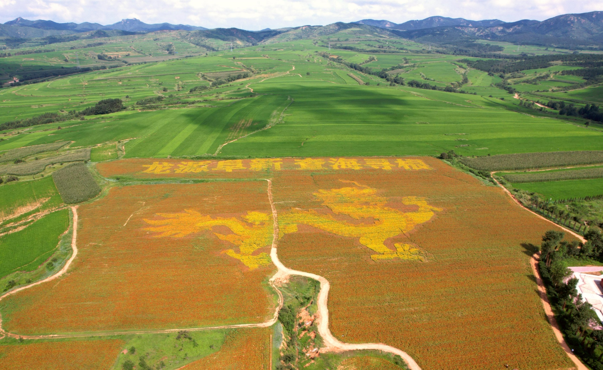 为什么是中国·寻根辽宁｜龙源辽西八千年