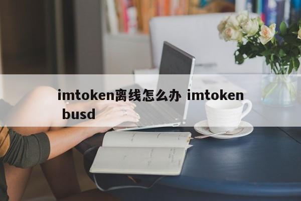 imtoken离线如何处理？imtoken busd 介绍