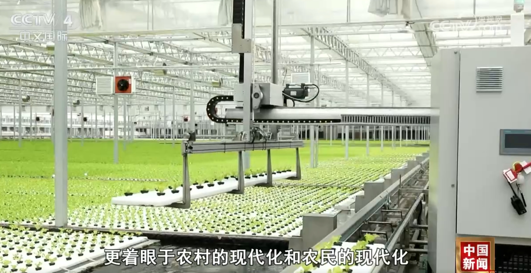 _中国农业的强国梦_农业强国是什么意思