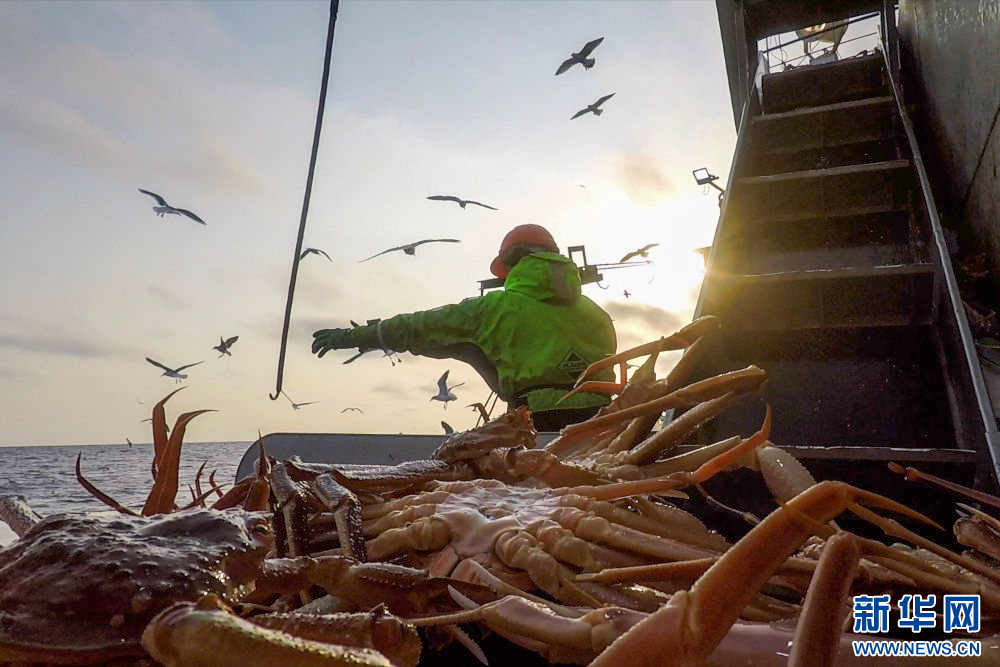 镜头连中外·第66辑 | 来自远洋的味道__镜头连中外·第66辑 | 来自远洋的味道