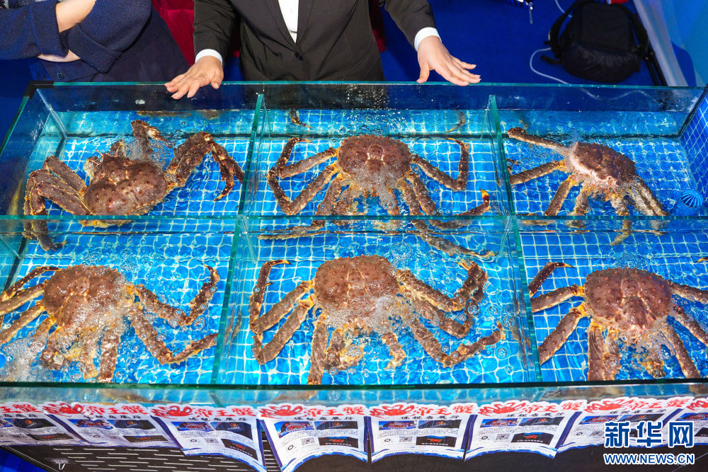 镜头连中外·第66辑 | 来自远洋的味道_镜头连中外·第66辑 | 来自远洋的味道_