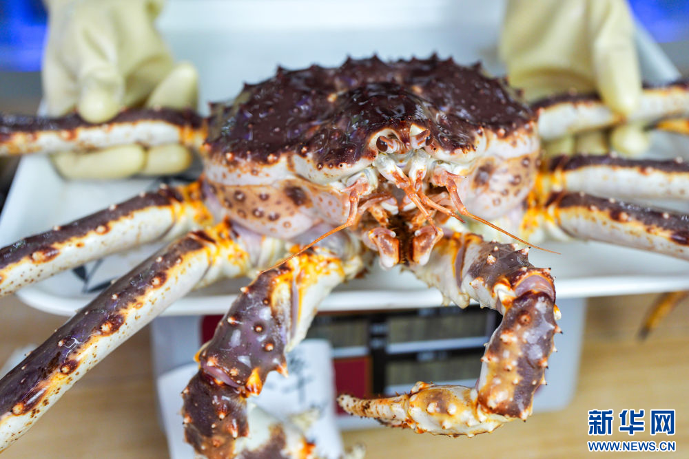 镜头连中外·第66辑 | 来自远洋的味道__镜头连中外·第66辑 | 来自远洋的味道