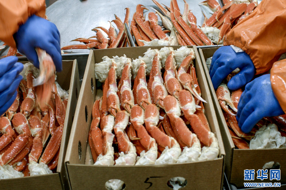 镜头连中外·第66辑 | 来自远洋的味道_镜头连中外·第66辑 | 来自远洋的味道_