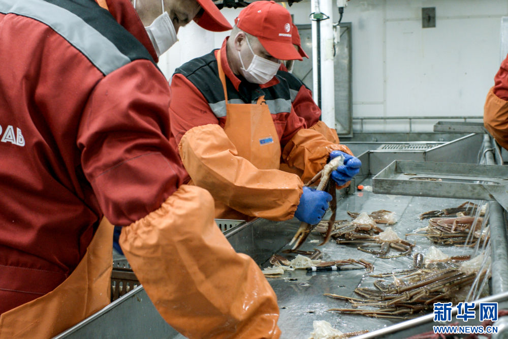 镜头连中外·第66辑 | 来自远洋的味道__镜头连中外·第66辑 | 来自远洋的味道