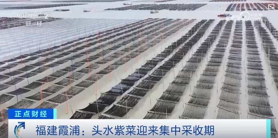 _丰收的篮子_丰收篮子图片