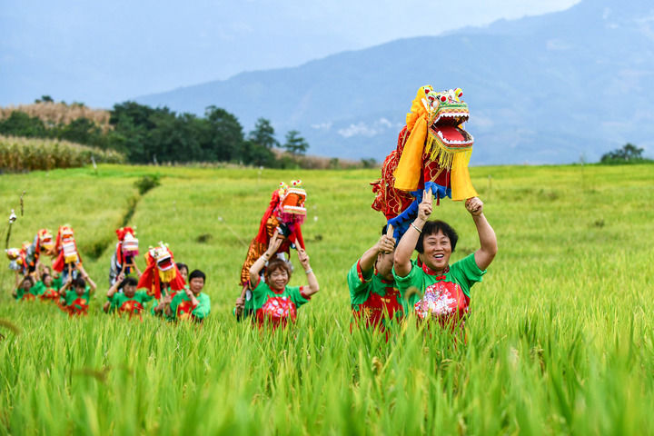 田野丰收的片段__田野丰收的句子有哪些