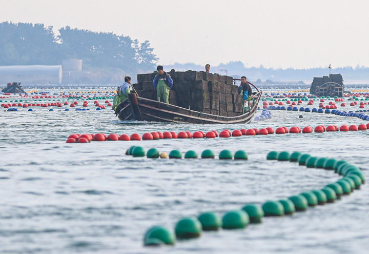 田野丰收的句子有哪些__田野丰收的片段