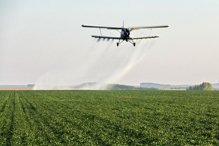 田野丰收的句子有哪些__田野丰收的片段