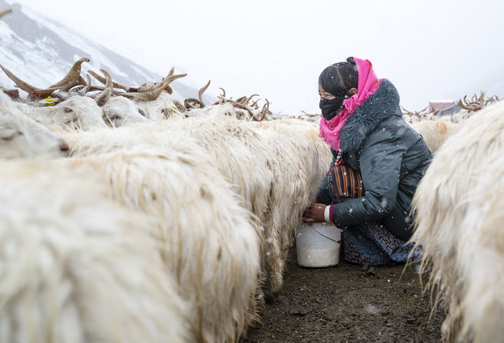 田野丰收的句子有哪些__田野丰收的片段