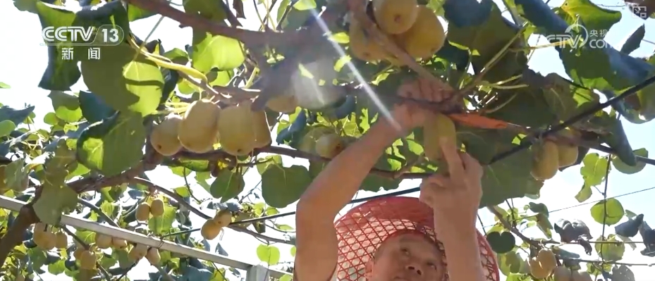 “数”看75载现代农业谱新篇_“数”看75载现代农业谱新篇_