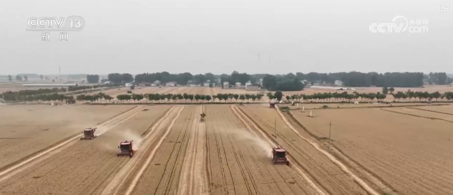 “数”看75载现代农业谱新篇__“数”看75载现代农业谱新篇