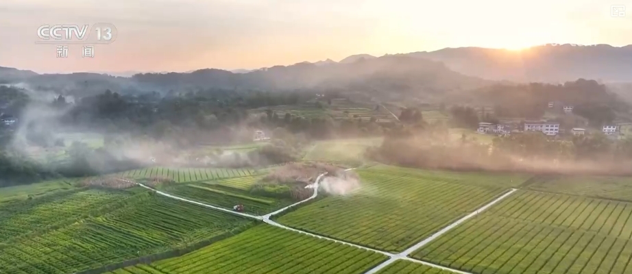 _“数”看75载现代农业谱新篇_“数”看75载现代农业谱新篇