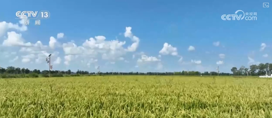 “数”看75载现代农业谱新篇__“数”看75载现代农业谱新篇