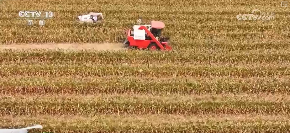 _“数”看75载现代农业谱新篇_“数”看75载现代农业谱新篇