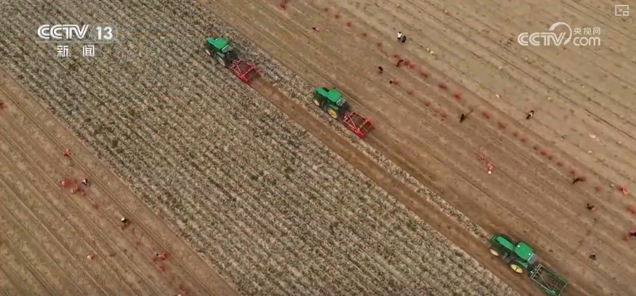 “数”看75载现代农业谱新篇_“数”看75载现代农业谱新篇_