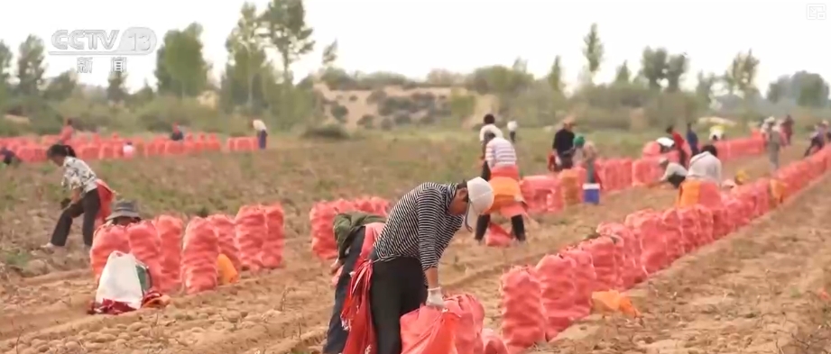 “数”看75载现代农业谱新篇_“数”看75载现代农业谱新篇_