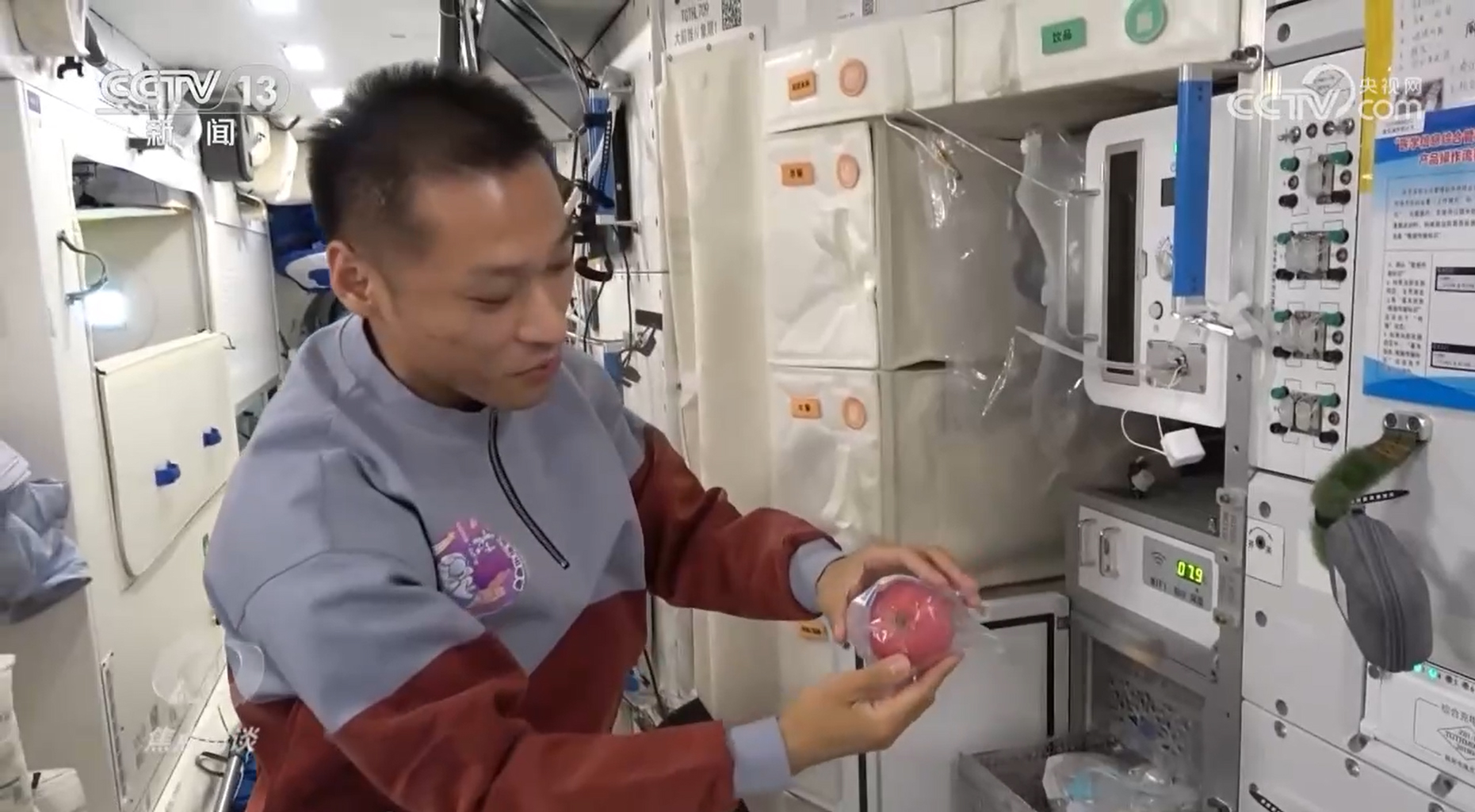 民国时期派克钢笔价格__虎上面是属什么的