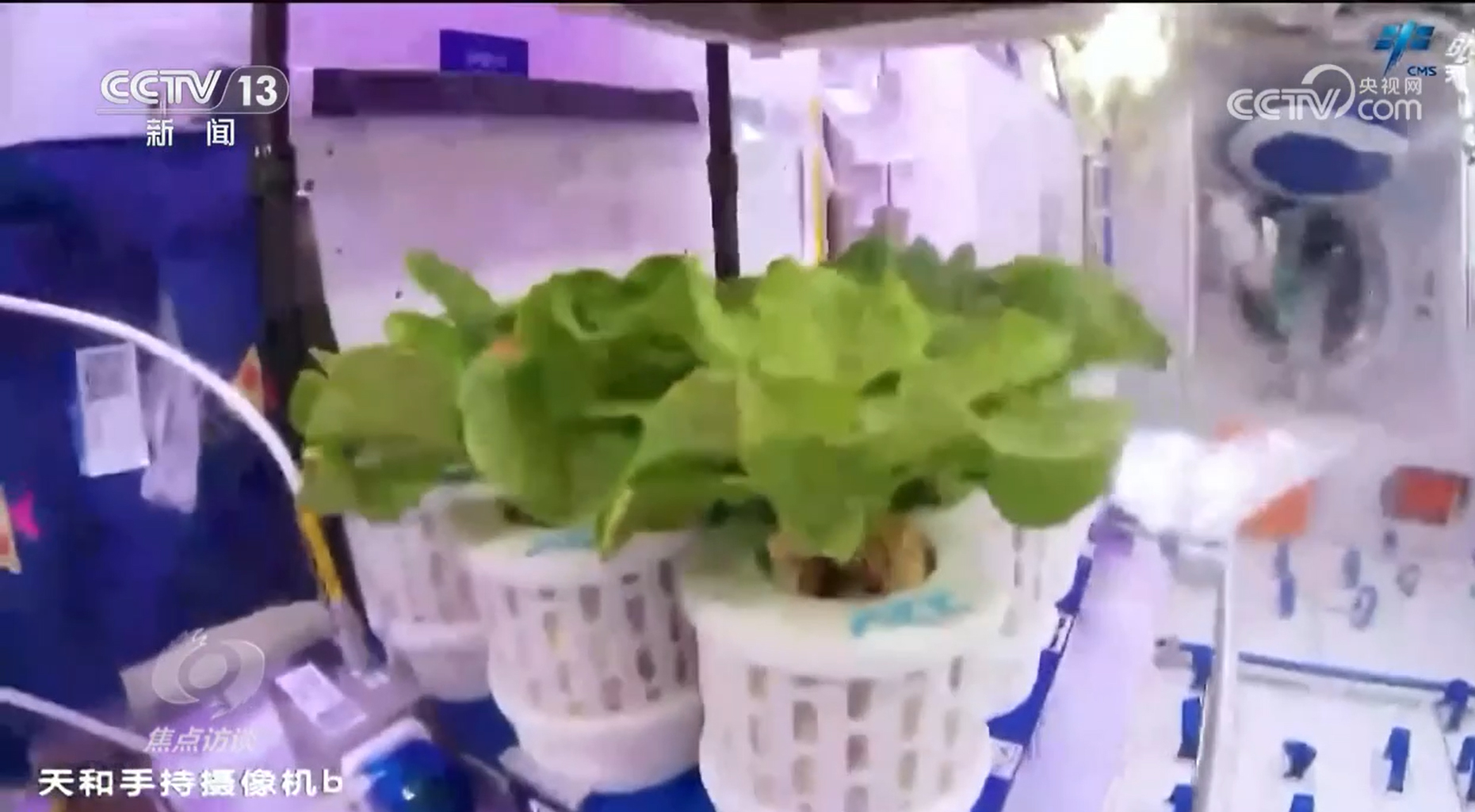 _民国时期派克钢笔价格_虎上面是属什么的