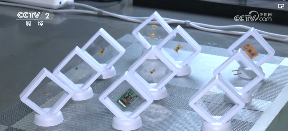 _毕业季职场新观察 “我之所长”与“社会所需”相结合_毕业季职场新观察 “我之所长”与“社会所需”相结合