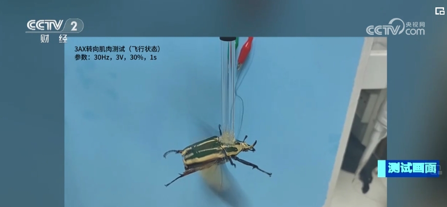 _毕业季职场新观察 “我之所长”与“社会所需”相结合_毕业季职场新观察 “我之所长”与“社会所需”相结合